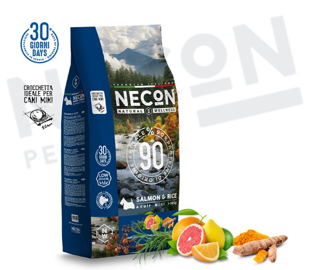 SALMON & RICE CANI PICCOLA TAGLIA